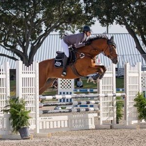 Meet your Posher, Bella